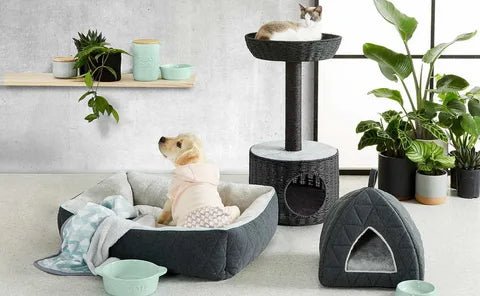 PET ACCESSORIES - Shop-Saver