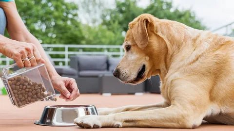 PET FOOD - Shop-Saver