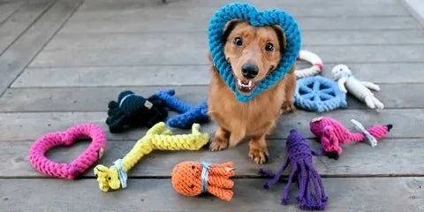 PET TOYS - Shop-Saver