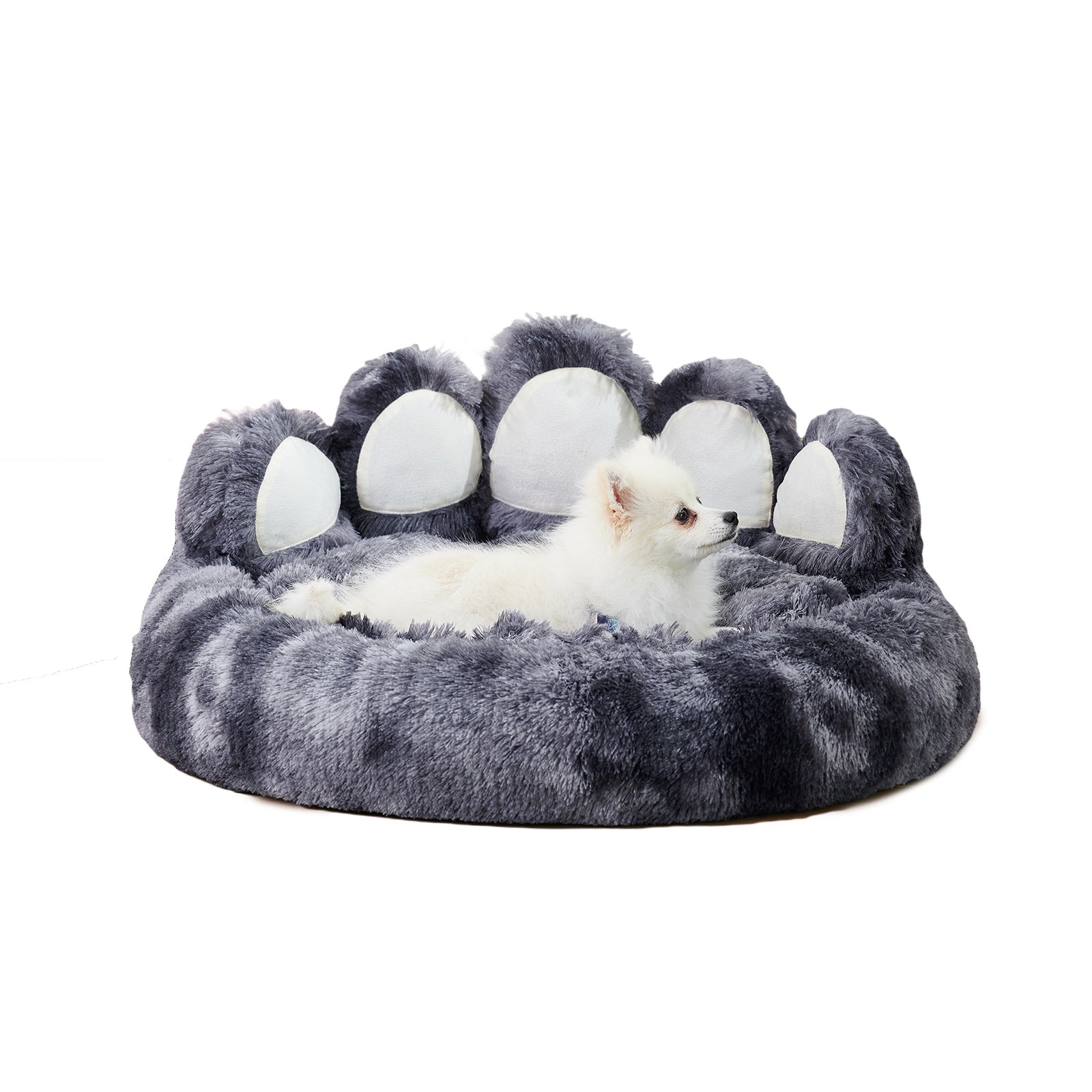 Cute Dog Bear Paw Shape Dog Bed, Dog Beds & Furniture For Small And Medium Dogs, Cozy Plush Cute Cat Beds For Indoor Cats - Shop - Saver