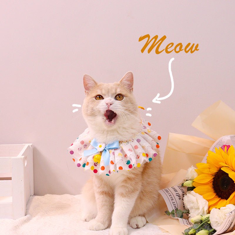 Fashion Personality Pet Collar Bib Photo Accessories - Shop - Saver