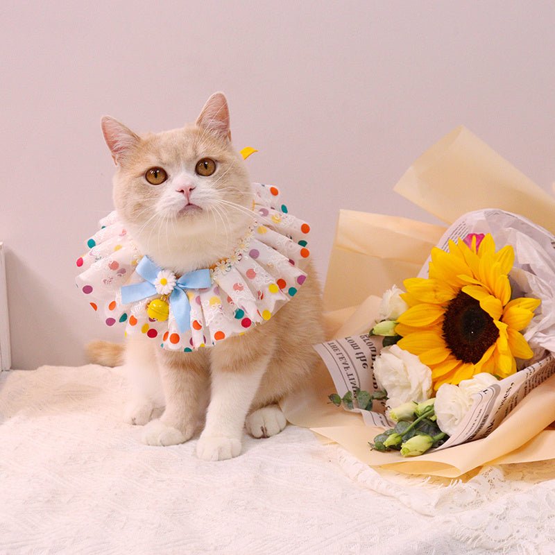 Fashion Personality Pet Collar Bib Photo Accessories - Shop - Saver
