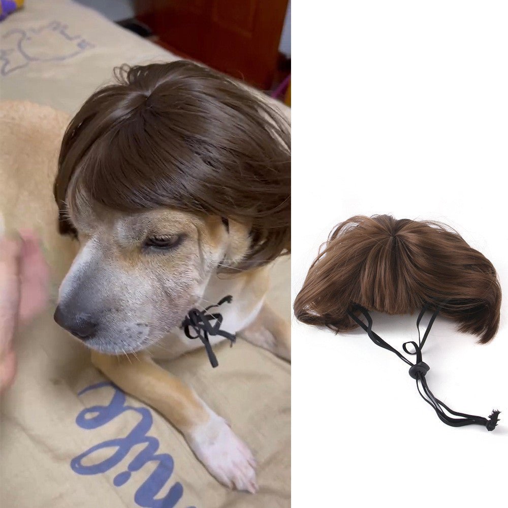 Halloween Christmas Wig Pet Hair Accessories - Shop - Saver