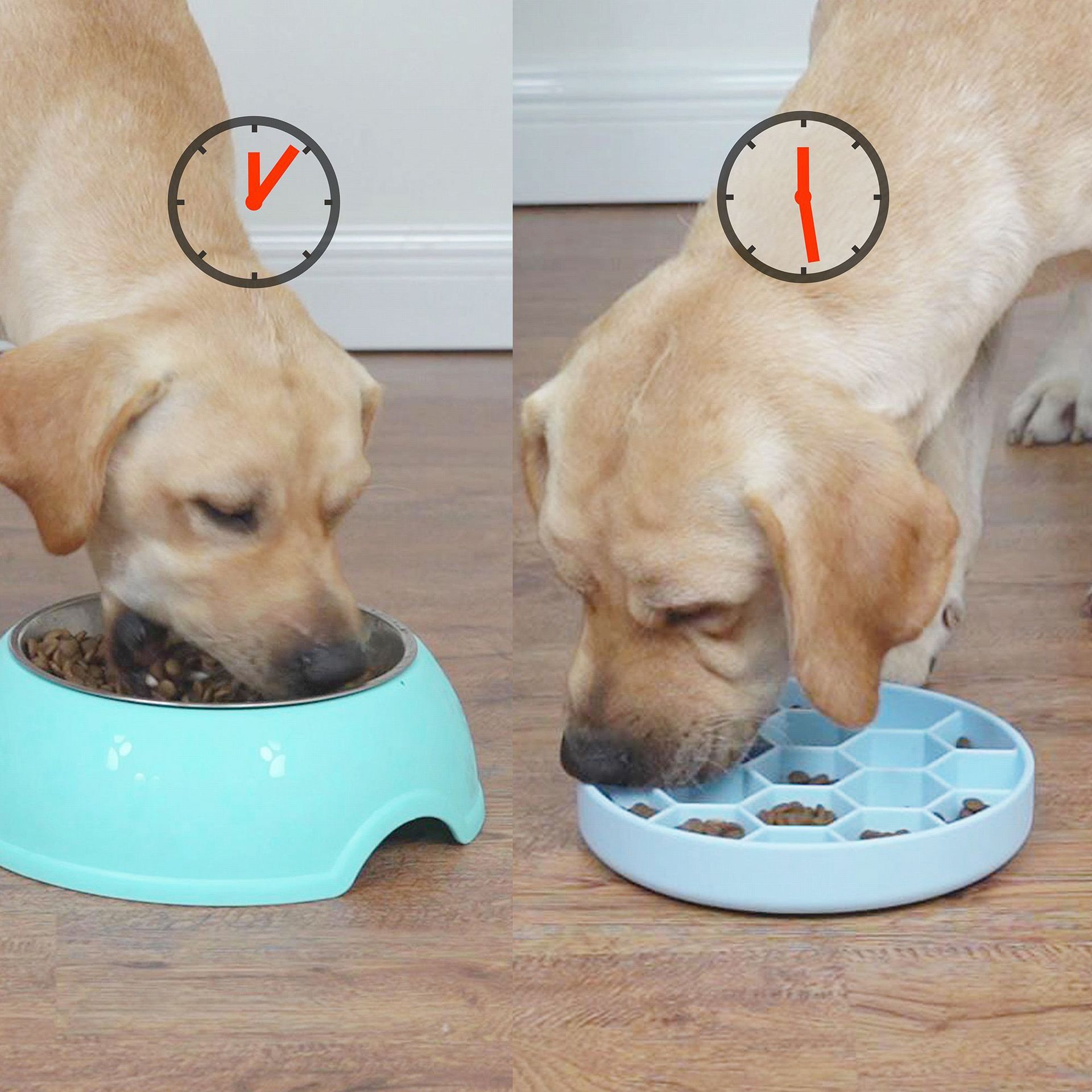 Honeycomb Pet Slow Food Bowl Honeycomb Pet Slow Food Bowl - Shop - Saver