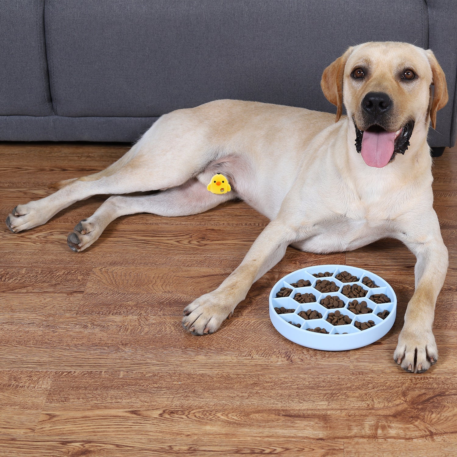 Honeycomb Pet Slow Food Bowl Honeycomb Pet Slow Food Bowl - Shop - Saver