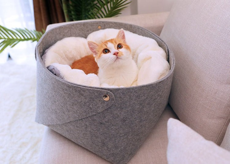 pet bed pet bed pet bed pet bed pet bed pet bed pet bed - Shop - Saver