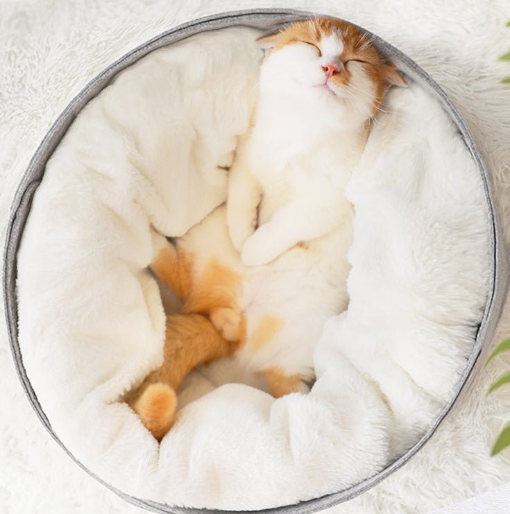 pet bed pet bed pet bed pet bed pet bed pet bed pet bed - Shop - Saver