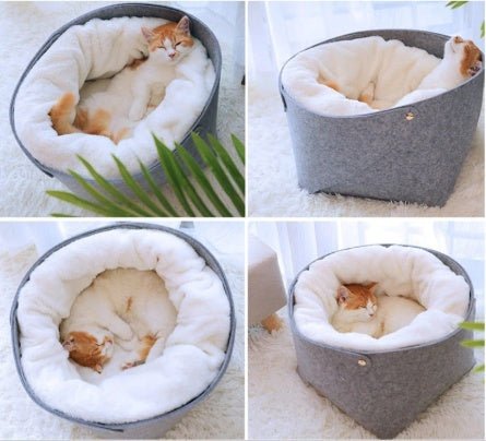 pet bed pet bed pet bed pet bed pet bed pet bed pet bed - Shop - Saver