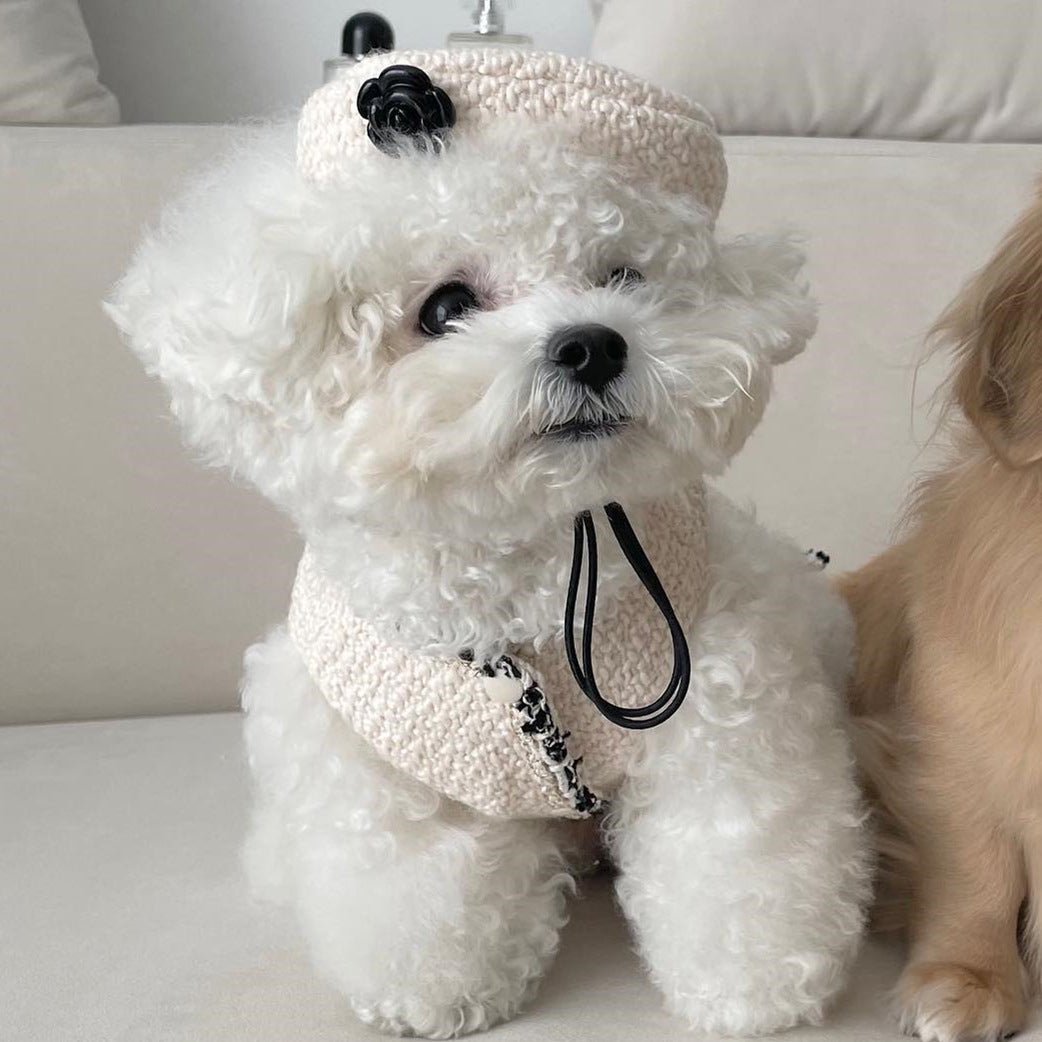 Pet Dog Cat Accessories Knitted Hat - Shop - Saver