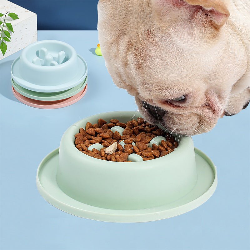 Pet Slow Food Bowl Anti - choking Food Apparatus - Shop - Saver