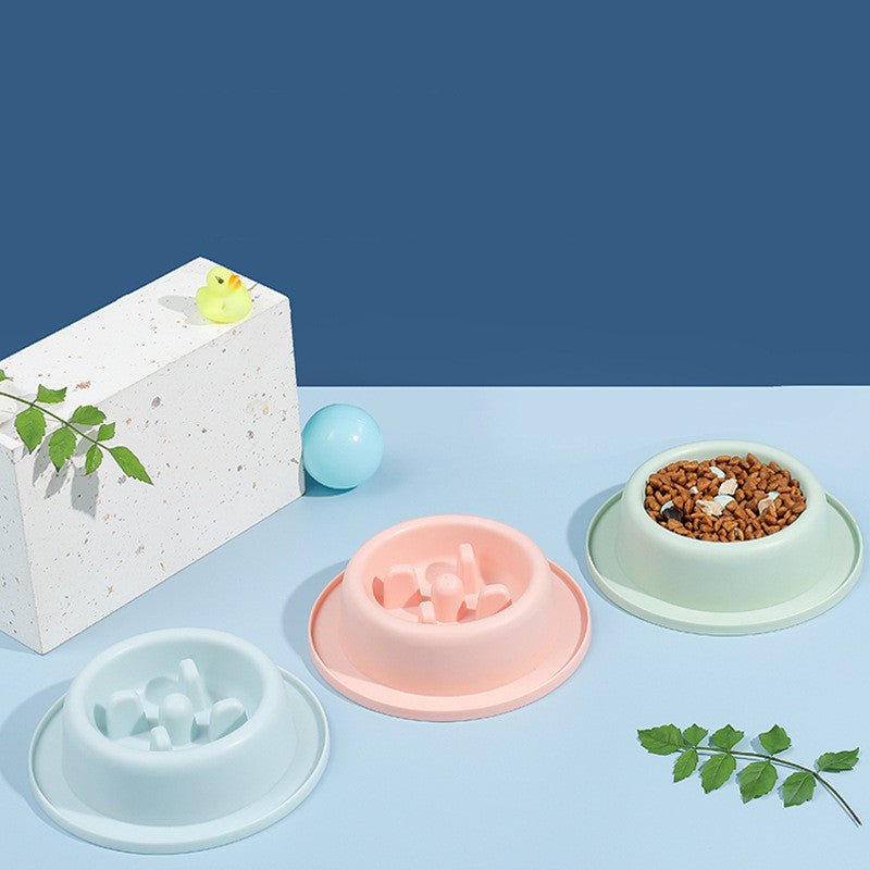 Pet Slow Food Bowl Anti - choking Food Apparatus - Shop - Saver