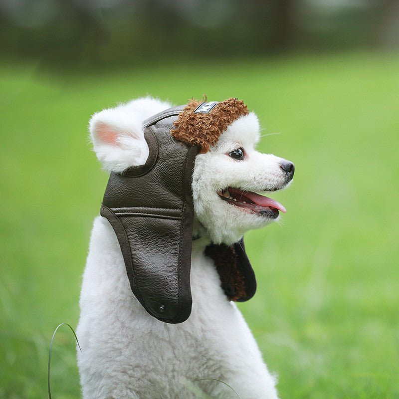 Pet Supplies Autumn Winter New Pet Dog - Shop - Saver