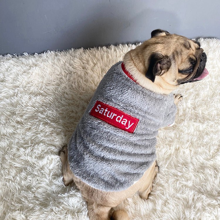 Pet sweater Pet sweater Pet sweater Pet sweater Pet sweater - Shop - Saver