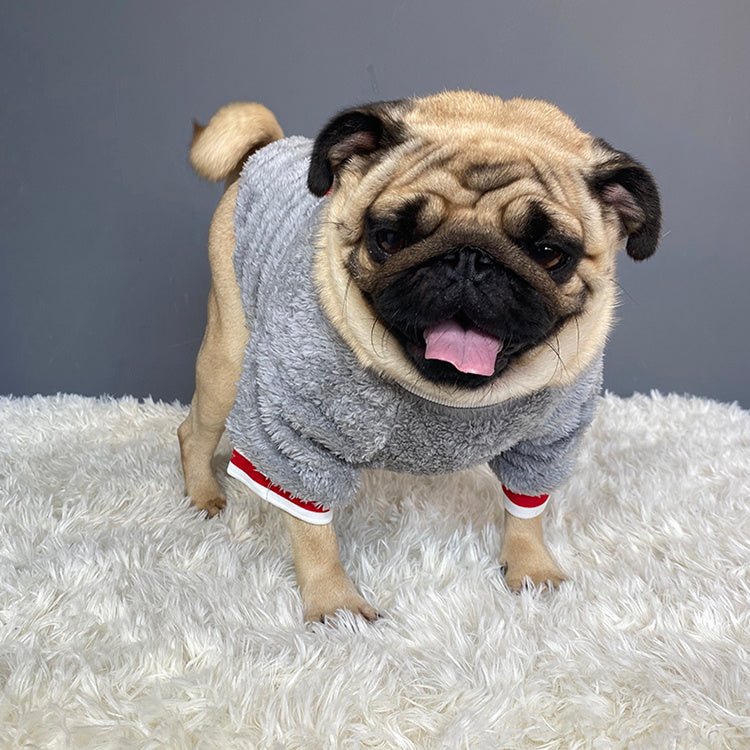 Pet sweater Pet sweater Pet sweater Pet sweater Pet sweater - Shop - Saver