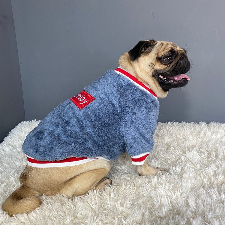 Pet sweater Pet sweater Pet sweater Pet sweater Pet sweater - Shop - Saver