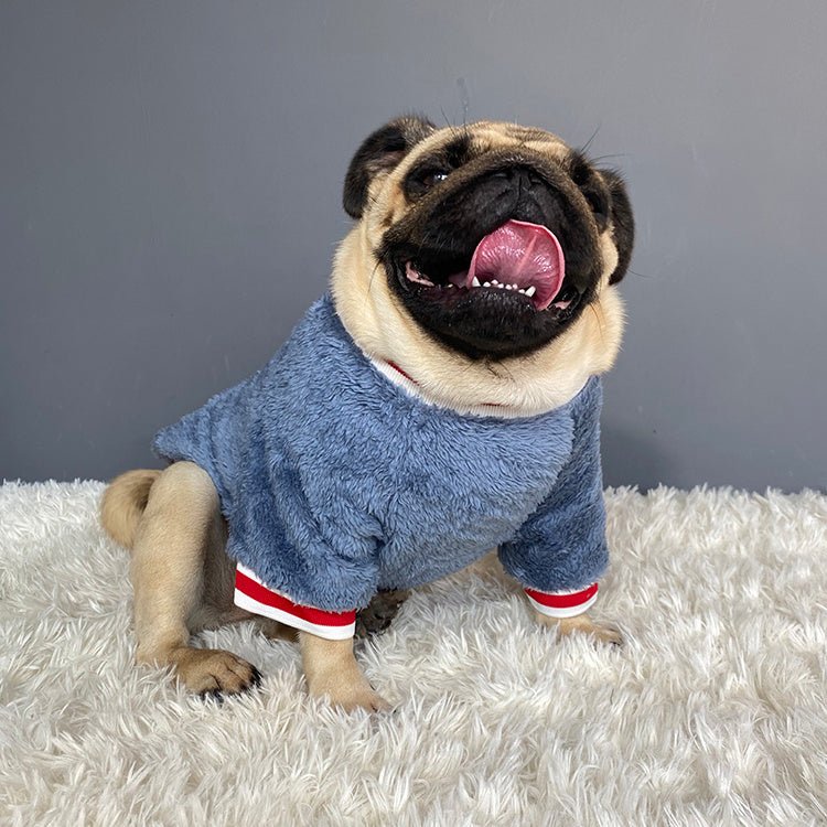 Pet sweater Pet sweater Pet sweater Pet sweater Pet sweater - Shop - Saver