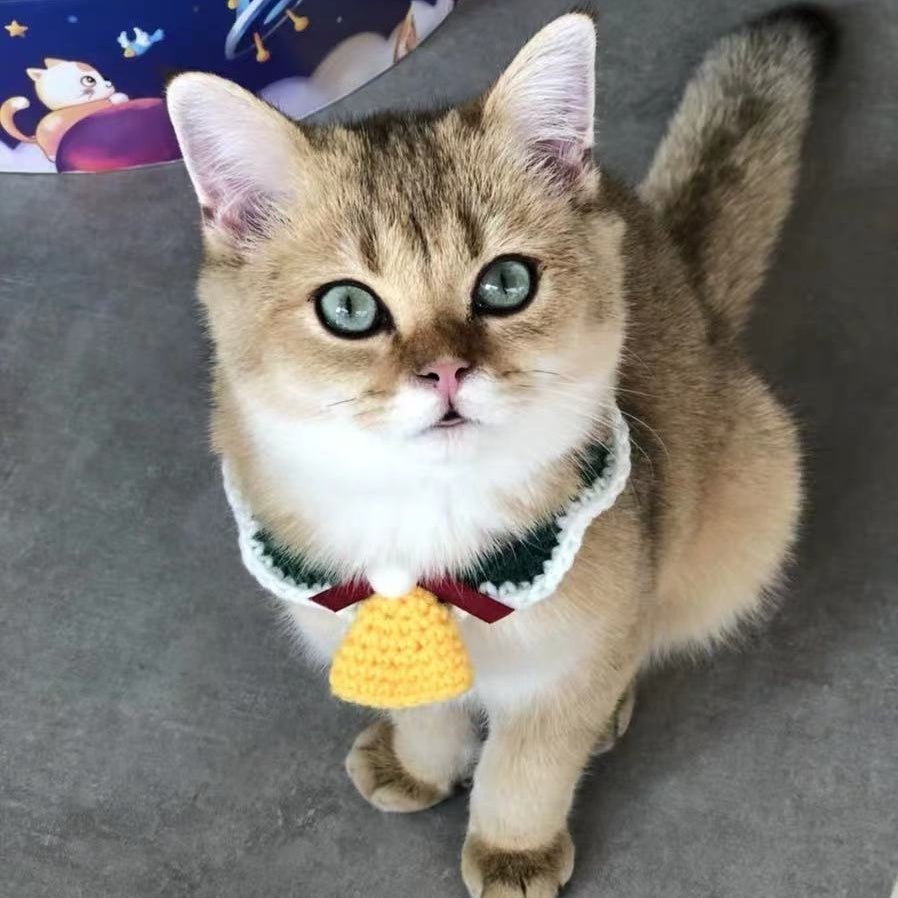 Wool Pet Collar Hand Woven Collar Christmas Pet Accessories - Shop - Saver