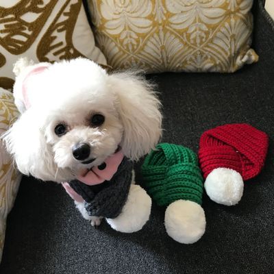 Wool scarf cat and dog accessories pet scarf - Shop - Saver